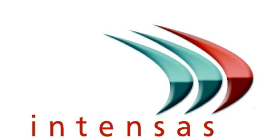 logo intensas networks